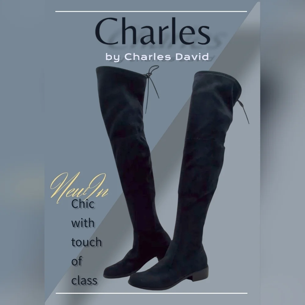 Charles by Charles David Women Size US 6 Blue Over The Knee Boots